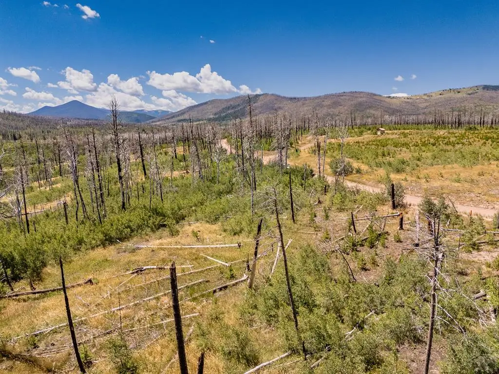 Lot 1626 Emery Loop, Fort Garland, CO 81133 - #1