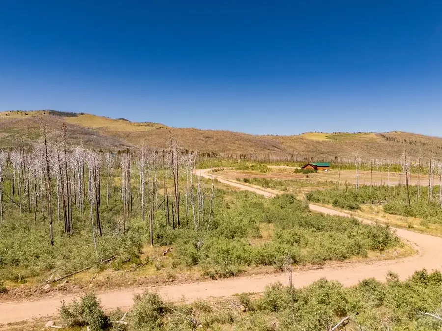 1377 Kinzel Ln, Fort Garland, CO 81133 - #3