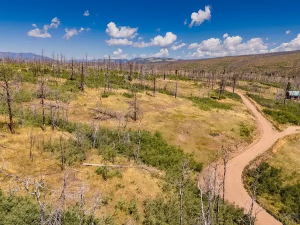 Lot 1644 Cary Ln, Fort Garland, CO 81133