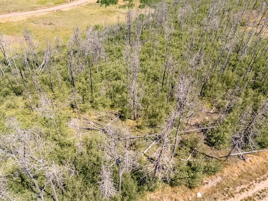 Lot 1656 Lutolf Ln, Fort Garland, CO 81133 - Image #3