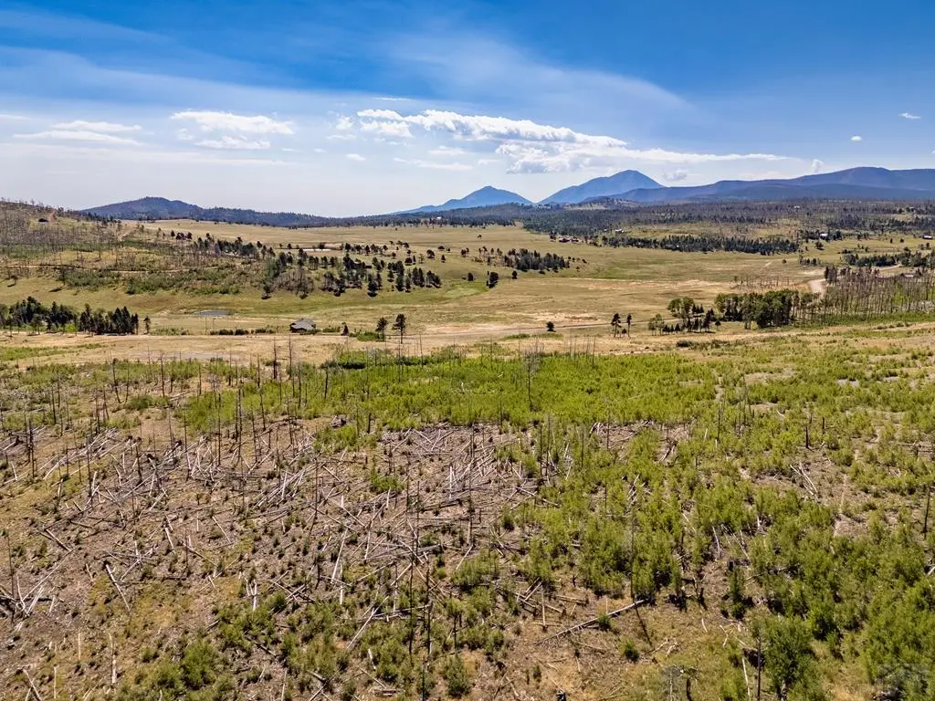 Lot 1909 Noel Pl, Fort Garland, CO 81133 - Image #1