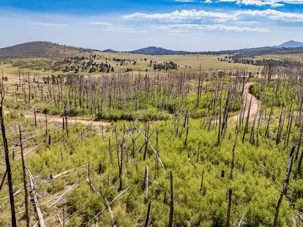 Lot 1925 Korlkoff Ln, Fort Garland, CO 81133