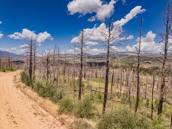 lot 459 Mulligan, Fort Garland, CO 81133