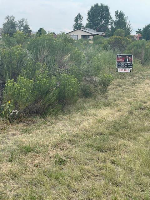 268 S Burlington Dr, Pueblo West, CO 81007 - #3