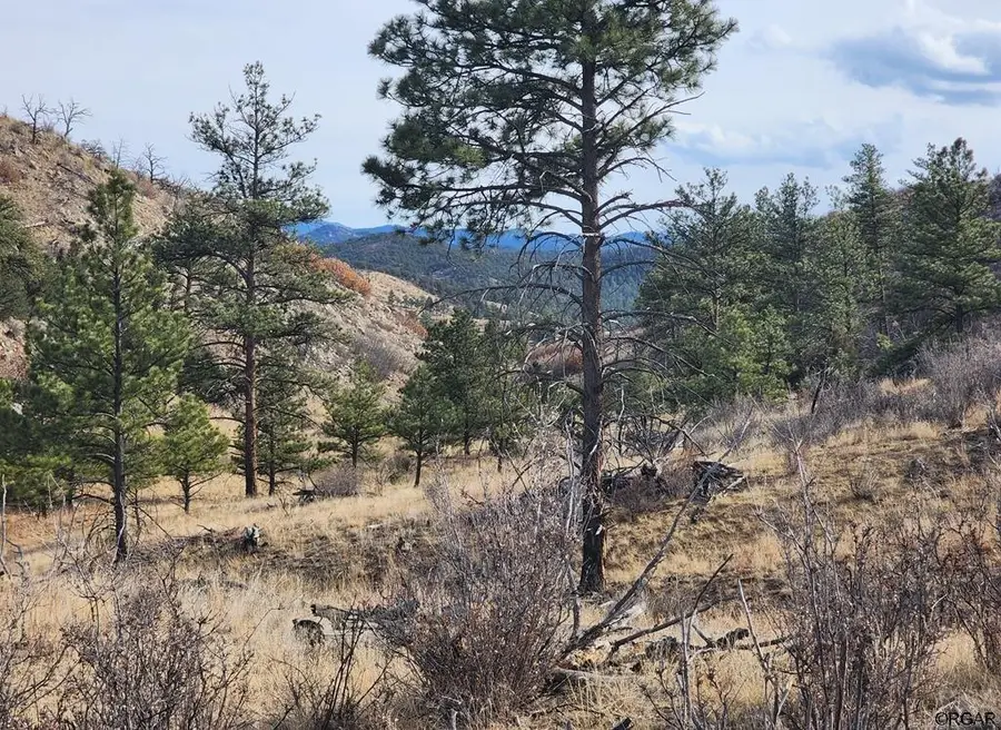 839 Shannon Trail, Cotopaxi, CO 81213 - Image #3