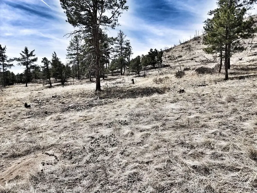 377 Color Sweet Dr., Cotopaxi, CO 81223 - #3