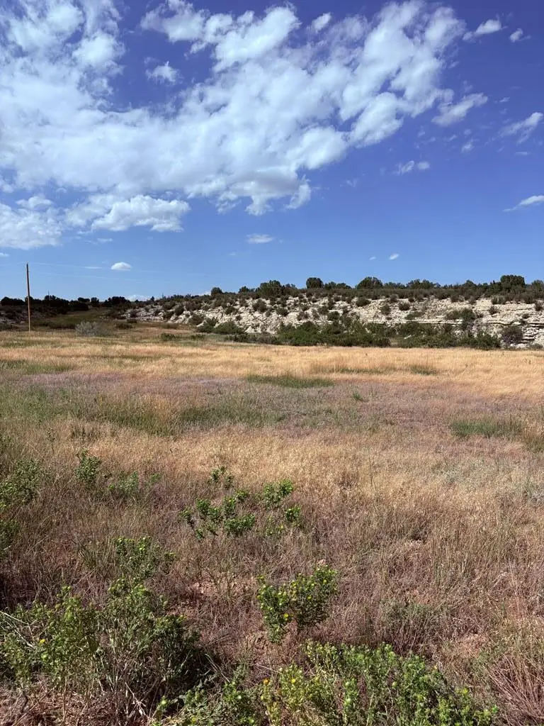 0 Las Animas Way, Colorado City, CO 81019 - Image #2