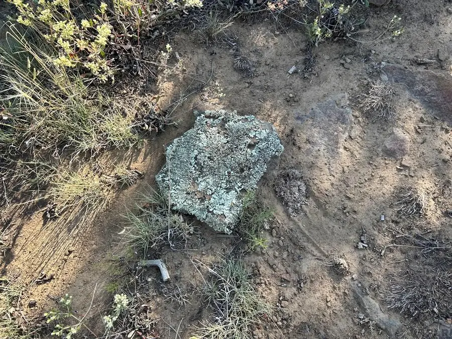 Lot 905 Rio Cucharas, Walsenburg, CO 81089 - #2