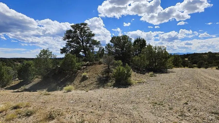 776 Rio Cucharas, Walsenburg, CO 81089 - #3