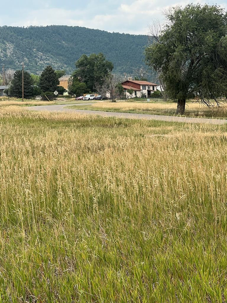 Lot 1364 Huerfano Dr, Colorado City, CO 81019 - Image #1