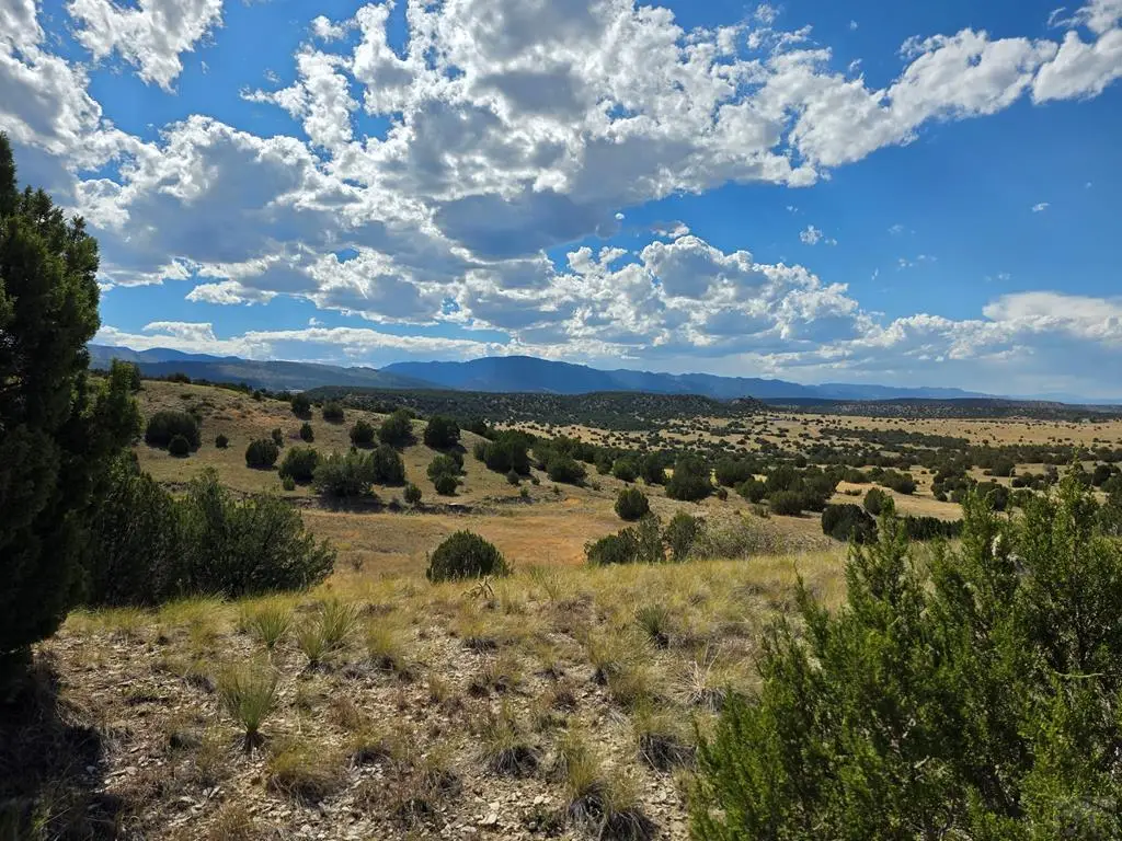Lot 24 Pope Valley Ranch Rd, Beulah, CO 81023 - Image #1