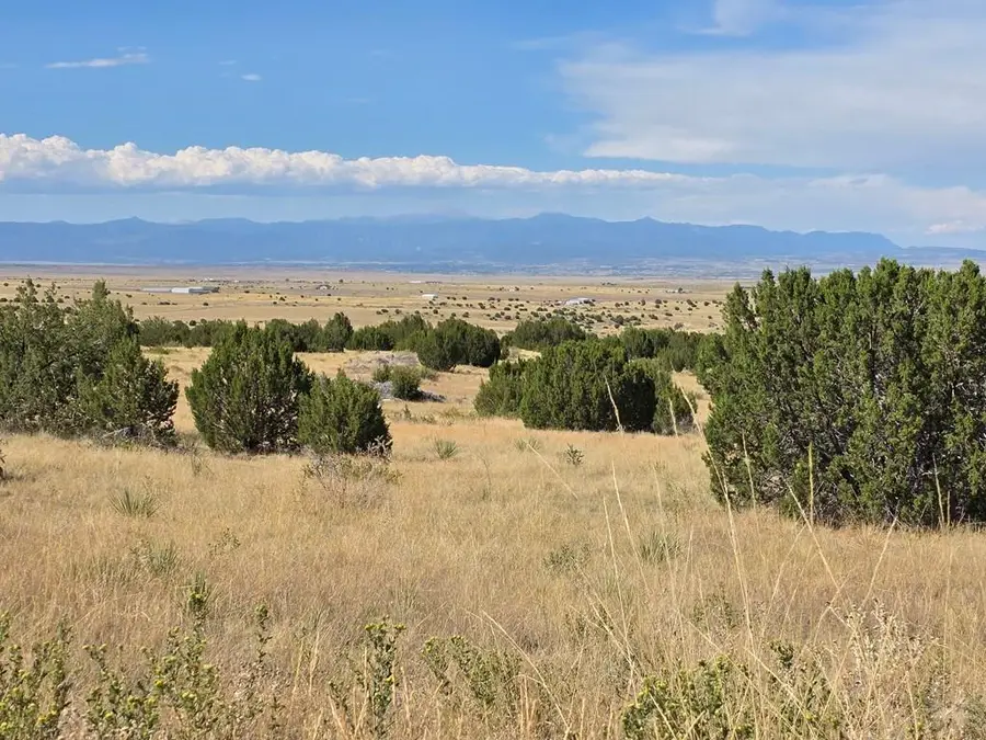 Lot 24 Pope Valley Ranch Rd, Beulah, CO 81023 - Image #3