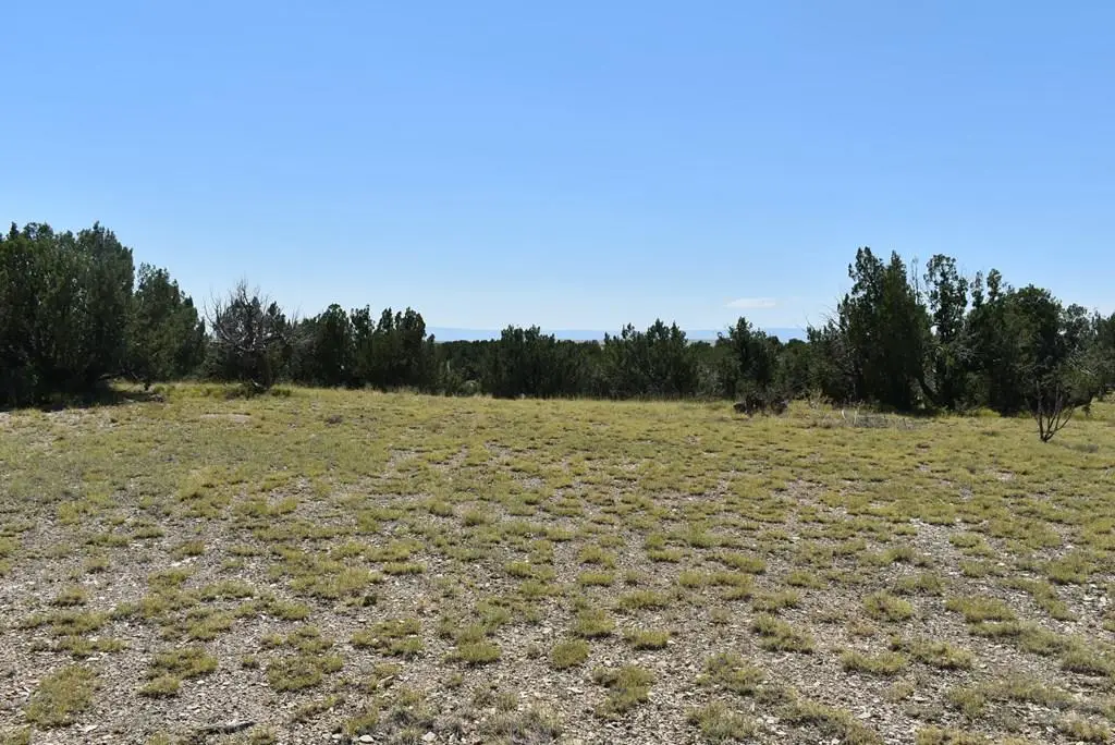 TBD County Rd 93.9, Trinidad, CO 81082 - Image #1