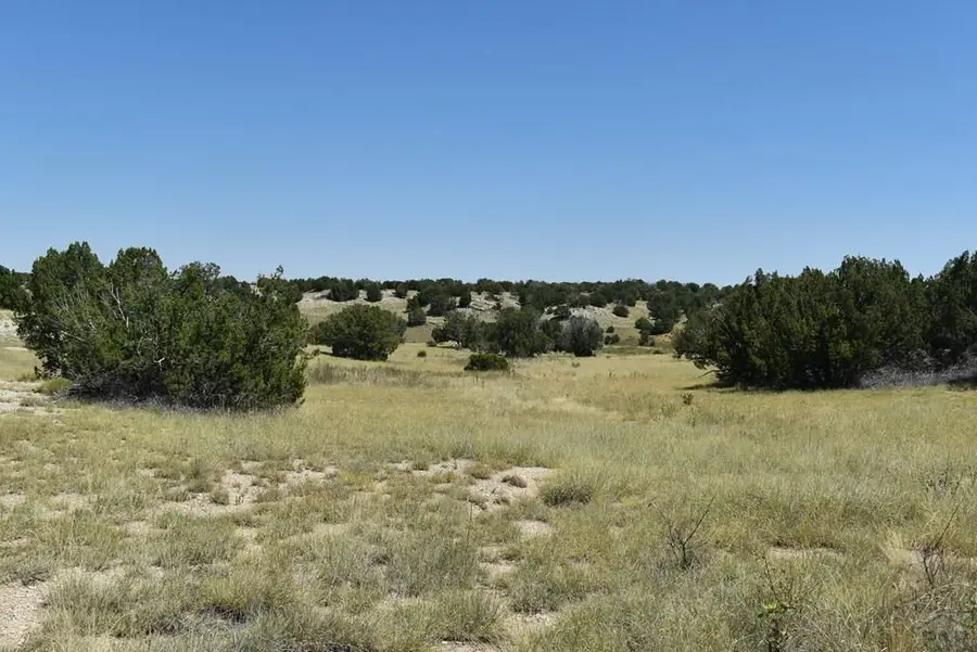 TBD County Rd 93.9, Trinidad, CO 81082 - Image #2