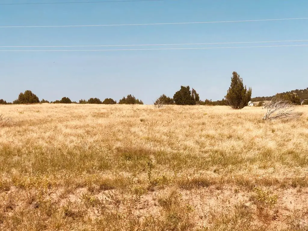 TBD Hart Ranch Road, Beulah, CO 81023 - Image #1