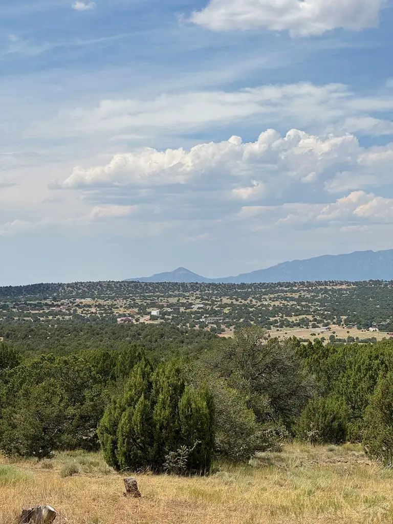 Tr 87 Bear Creek Rd, Walsenburg, CO 81089 - Image #2