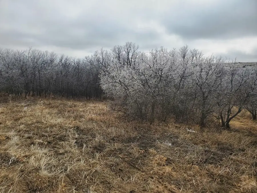 TBD Thacker Rd, Colorado City, CO 81069 - Image #3