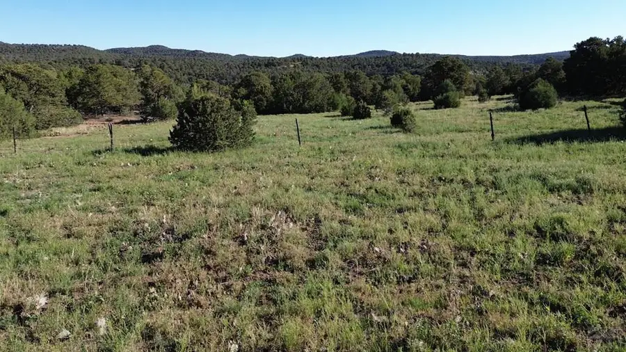 16198 Picketwire Rd, Bon Carbo, CO 81024 - #3