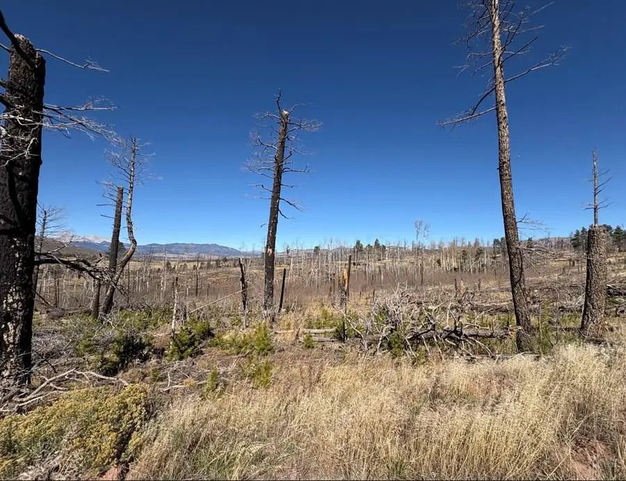 1070 Reed Ln, Fort Garland, CO 81133 - Image #2