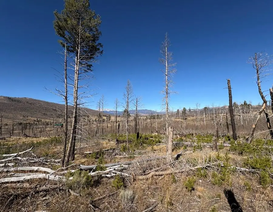 1070 Reed Ln, Fort Garland, CO 81133 - Image #3