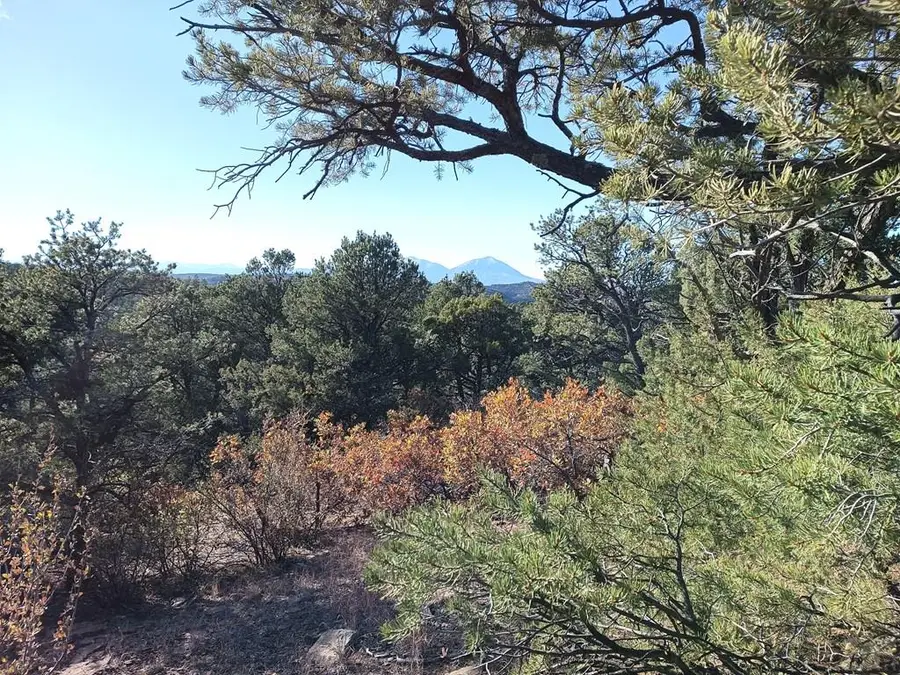 LOT 86 Ponderosa Hills, Trinidad, CO 81082 - Image #3