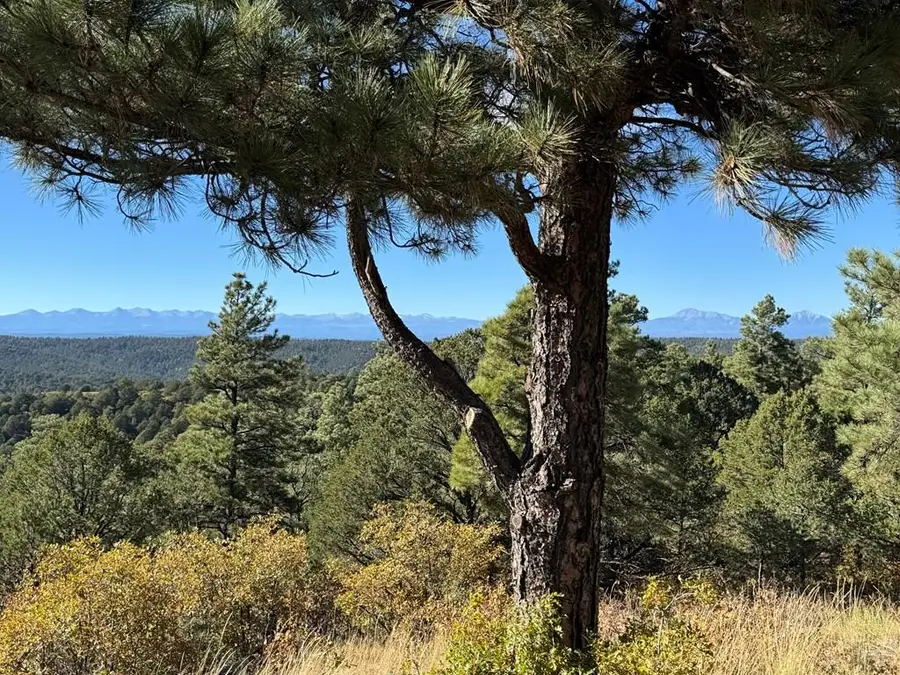 33250 Fox Trail, Trinidad, CO 81082 - Image #2