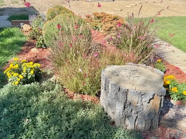 2211 N Elizabeth St, Pueblo, CO 81003 - Image #3