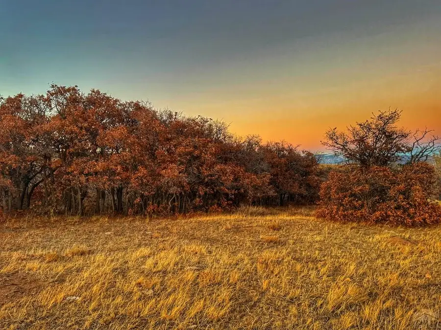 168 Colorado Land And Grazing, Gardner, CO 81040 - #3