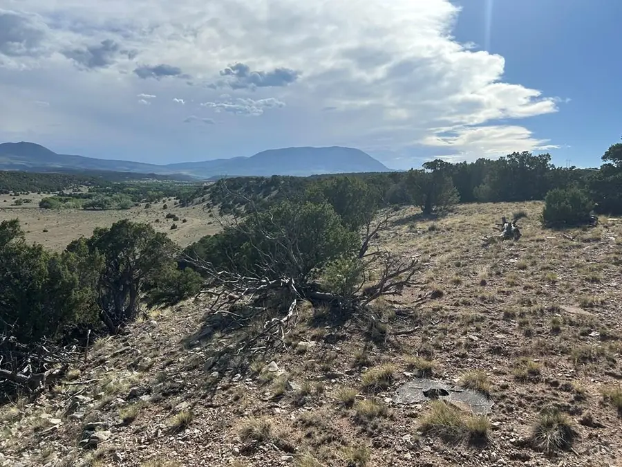 Lot 64 Colorado Land And Grazing, Gardner, CO 81040 - #2