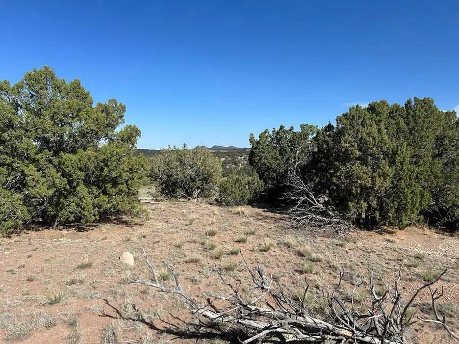 Lot 64 Colorado Land And Grazing, Gardner, CO 81040 - #3