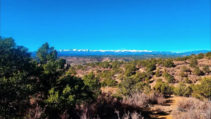 11298 Primero Ranch Rd, Trinidad, CO 81082 - #2