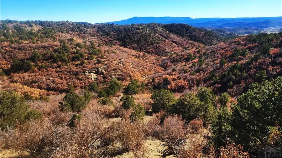 11298 Primero Ranch Rd, Trinidad, CO 81082 - #3