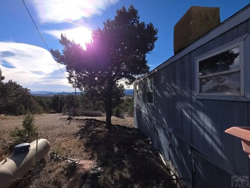 2825 K Path, Cotopaxi, CO 81223 - #3