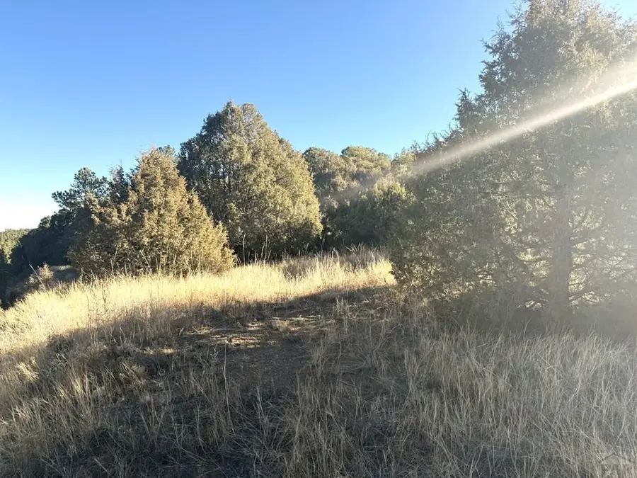 8100 La Belle Trail, Trinidad, CO 81082 - Image #2