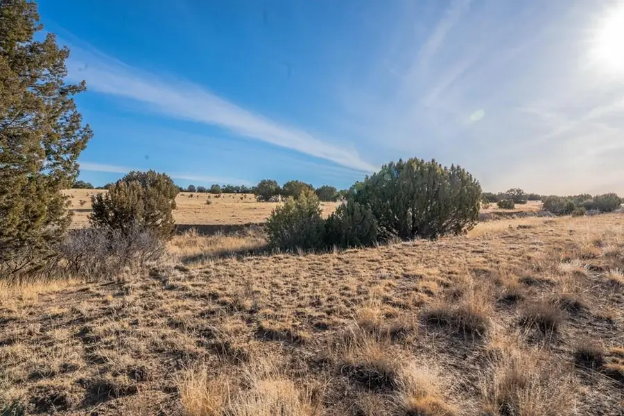 24 Hatchet Ranch, Pueblo, CO 81004 - #2