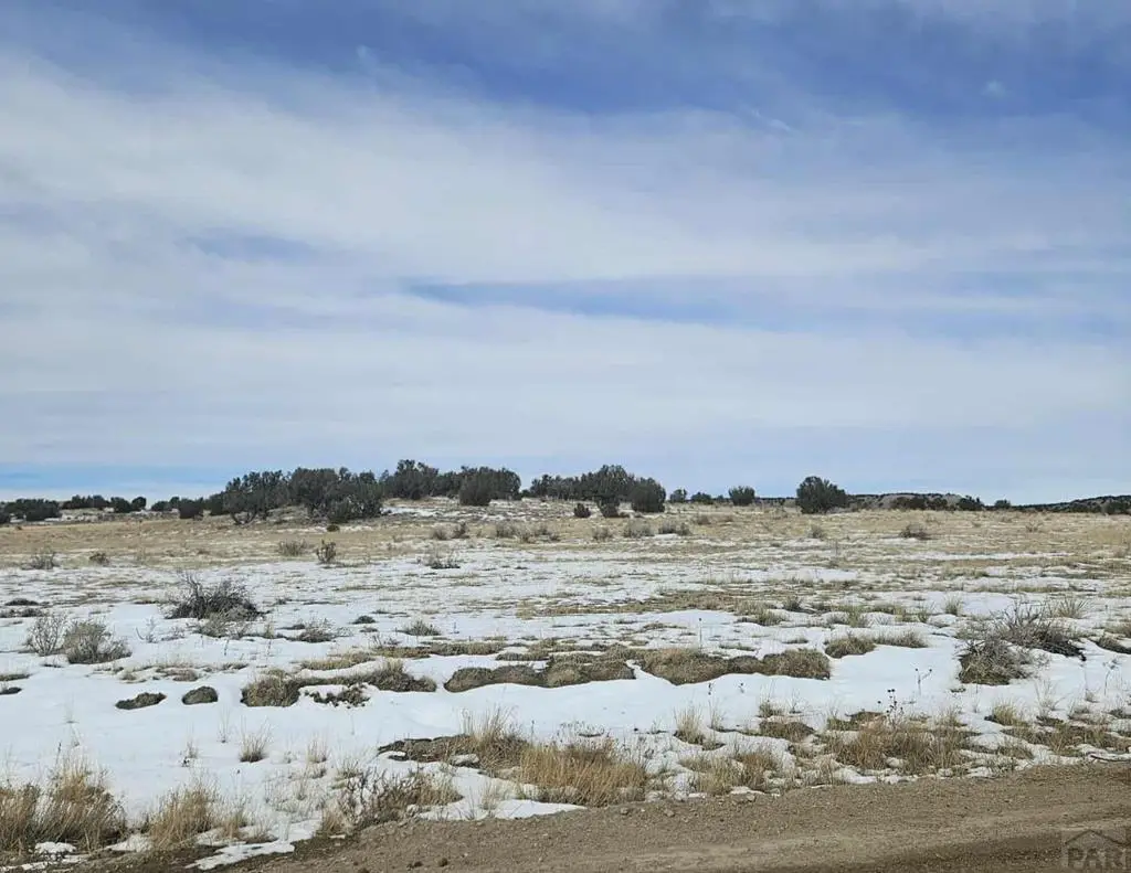 00 County Rd 93.9, Model, CO 81059 - #1