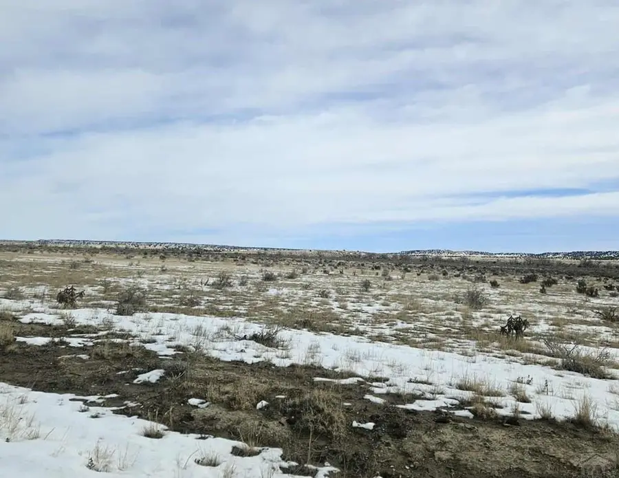 00 County Rd 93.9, Model, CO 81059 - #2