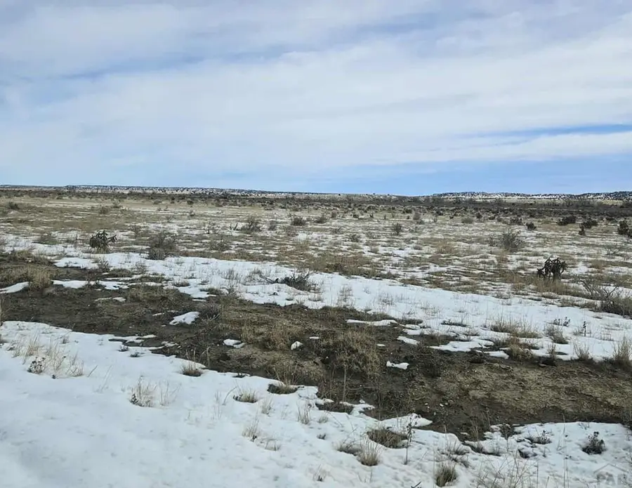 00 County Rd 93.9, Model, CO 81059 - #3