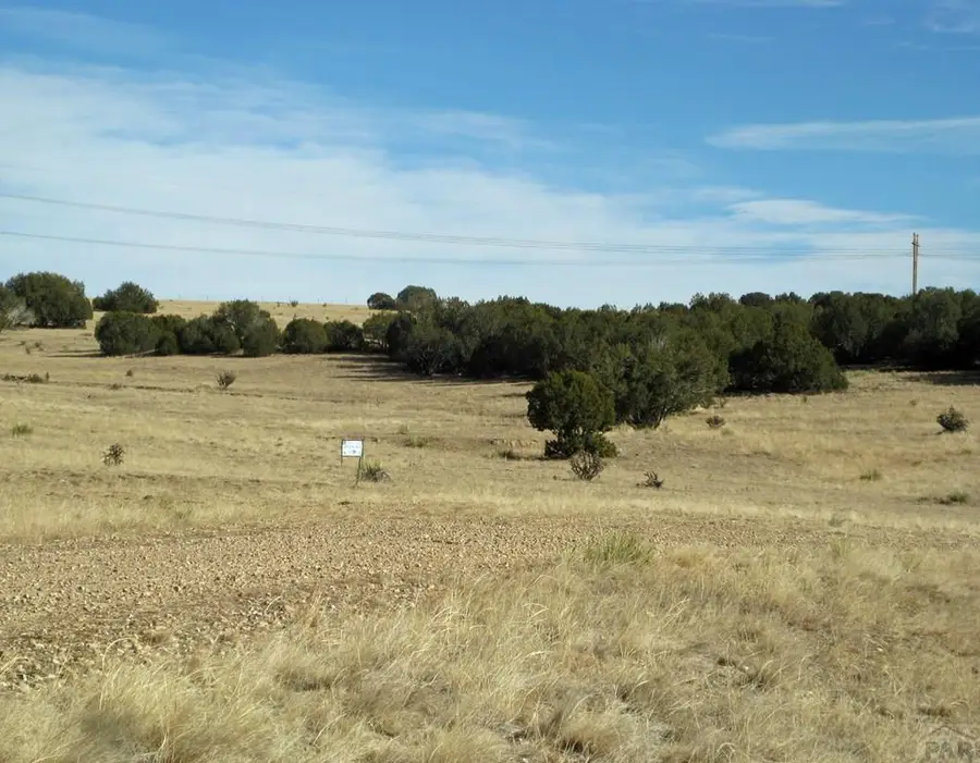 Lot 100 Narrow Gauge Way, Rye, CO 81069 - Image #2