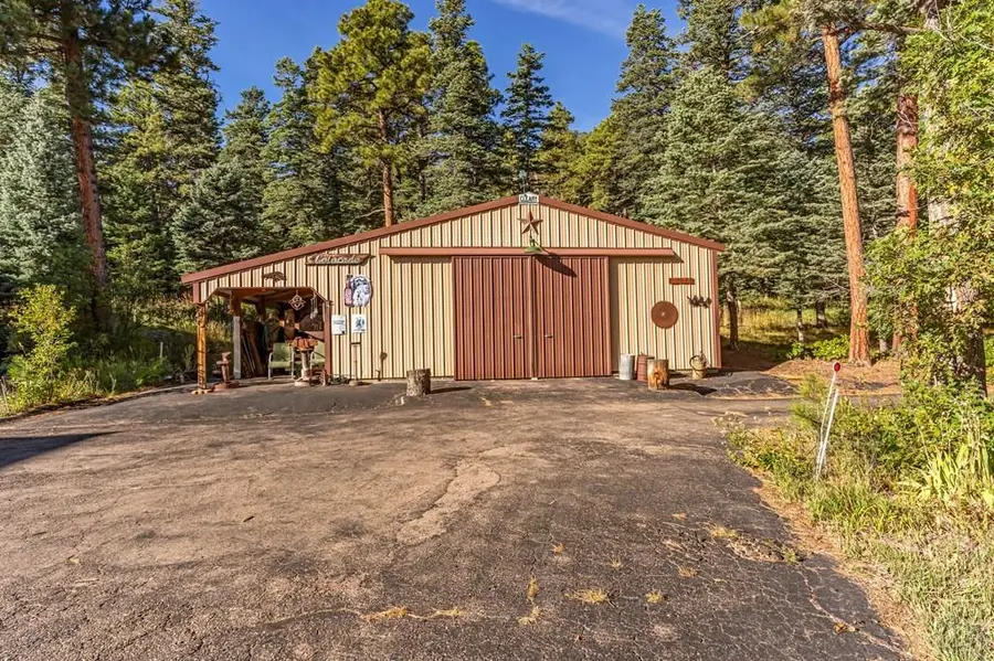 8262 William Rd, Rye, CO 81069 - Image #3