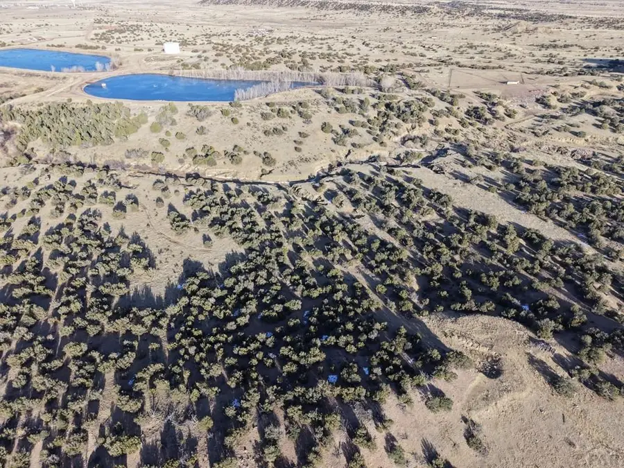 00 Bandito Trail, Florence, CO 81226 - #3