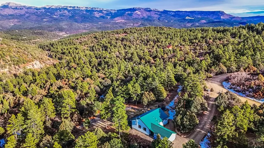 33280 Turkey Creek Ln, Trinidad, CO 81082 - #3