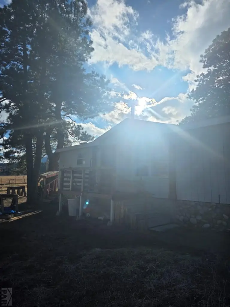 8152 Pine Dr, Rye, CO 81069 - #2