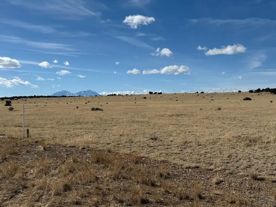 157&191 Turkey Ridge Ranch, Walsenburg, CO 81089 - #2