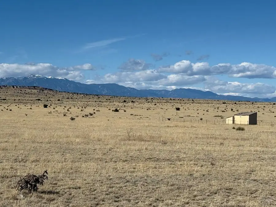 157&191 Turkey Ridge Ranch, Walsenburg, CO 81089 - #3