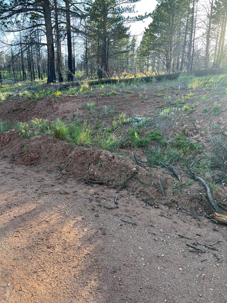 Lot 542 Forbes Pk, Fort Garland, CO 81133 - #1