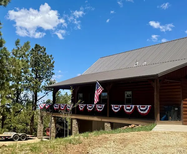 741 Junkins Loop, Westcliffe, CO 81252