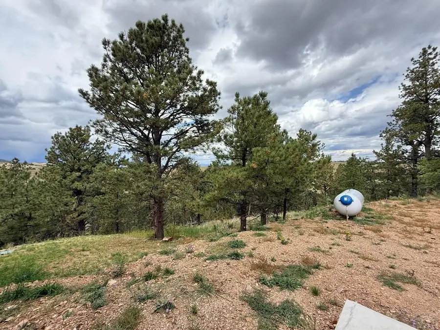 741 Junkins Loop, Westcliffe, CO 81252 - #3