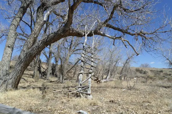 62415 E Highway 96, Boone, CO 81025