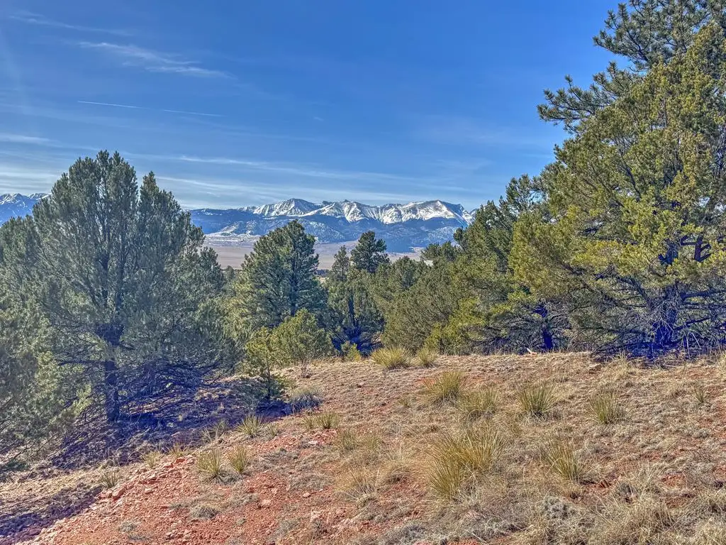 426 Arapaho Rd, Westcliffe, CO 81252 - #1